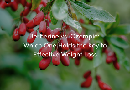 Berberine vs Ozempic: Which one holds the key to effective weight loss