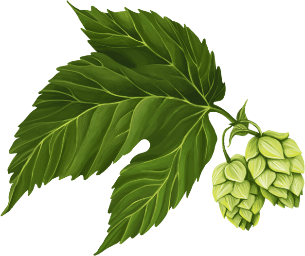 hops
