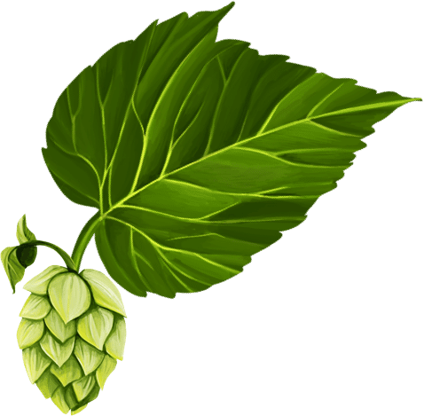 hops