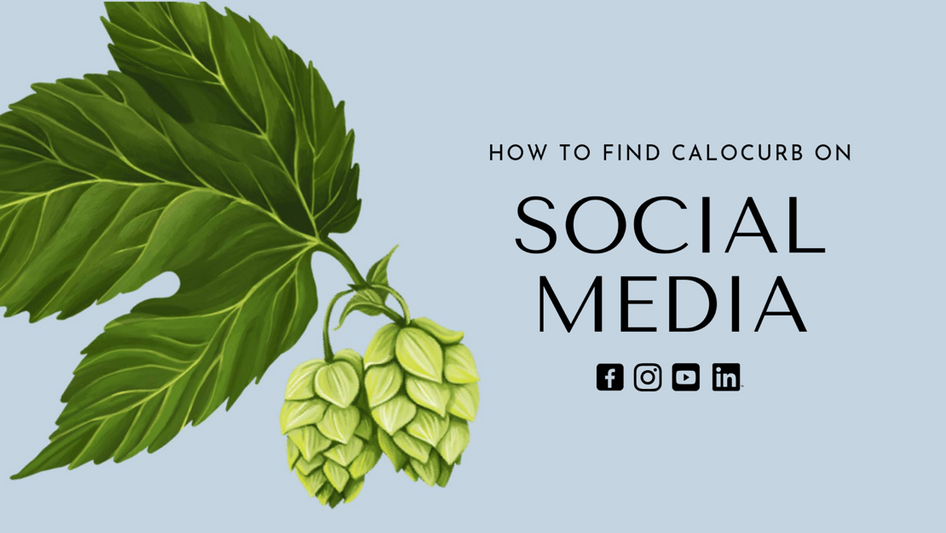 Get Social: How to Find Calocurb on All Your Social Media Platforms