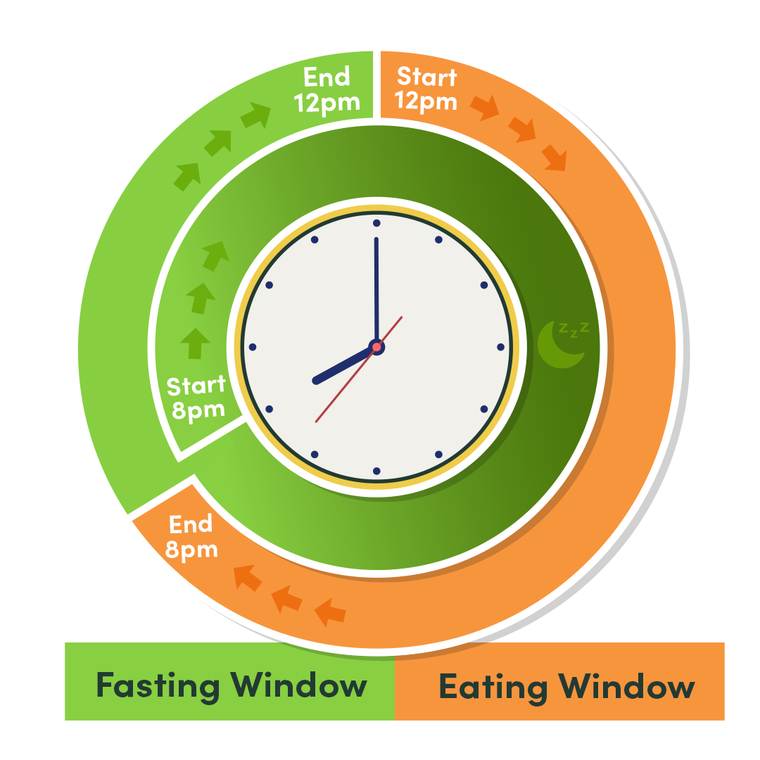 Intermittent Fasting and Calocurb 